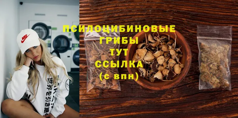 Галлюциногенные грибы Cubensis  Волчанск 